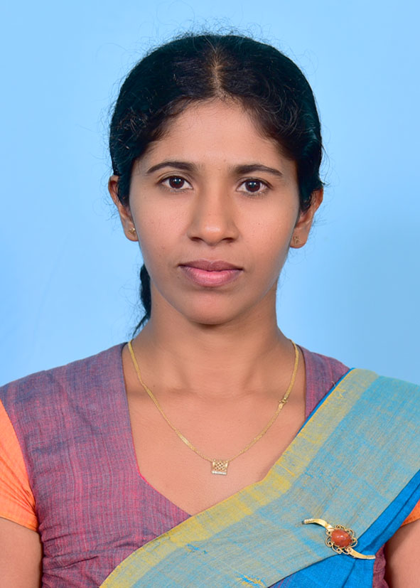 medapadda north